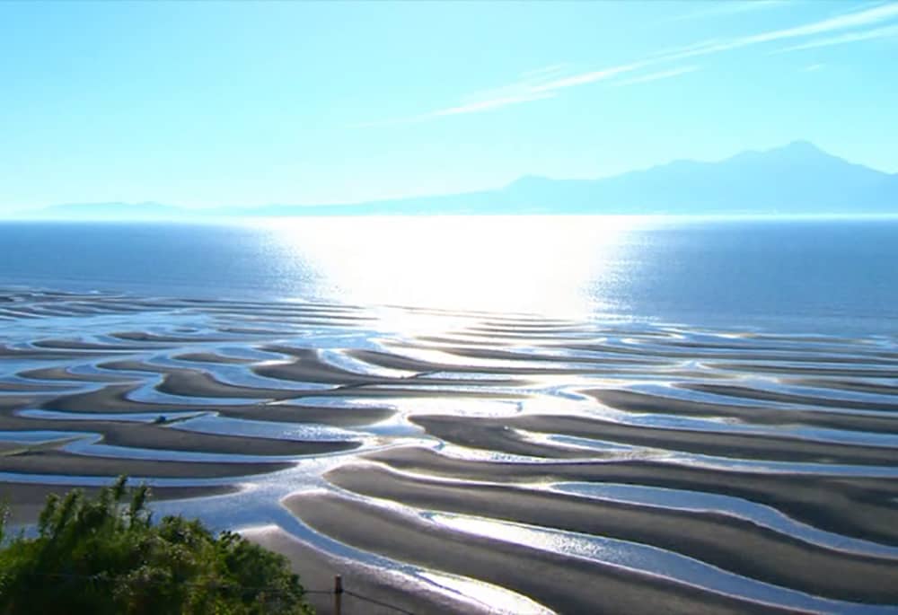 日の光を浴びる海の水面